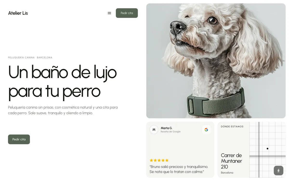 Example template: Dog groomer